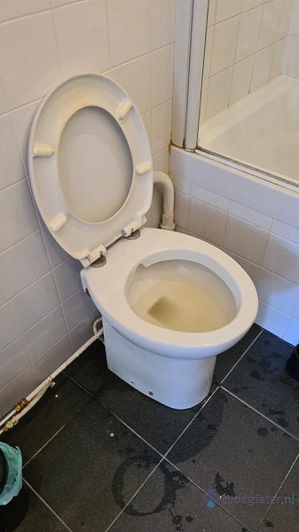  verstopping toilet Benthuizen